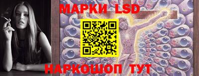 тгк Кингисепп
