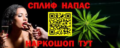 тгк Кингисепп