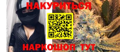 тгк Кингисепп