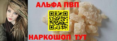 тгк Кингисепп