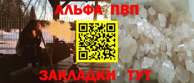 тгк Кингисепп