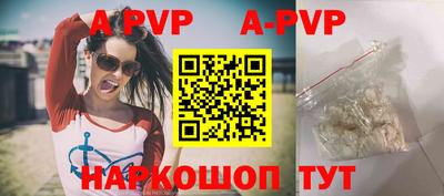 тгк Кингисепп