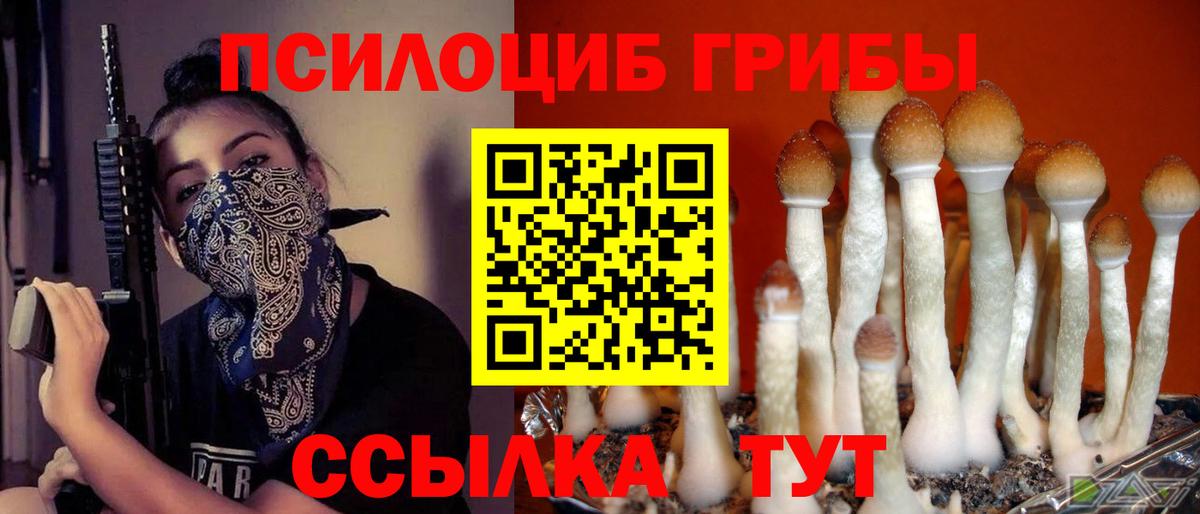 Псилоцибиновые грибы Psilocybine cubensis  Вход с VPN  Чехов 