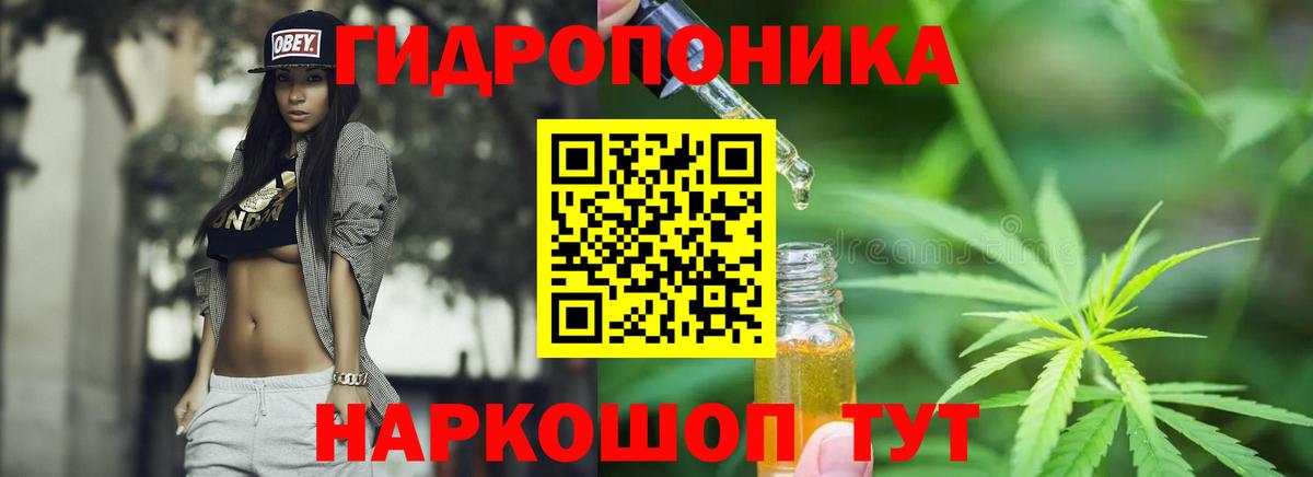 Каннабис Bruce Banner  Канабис индика  Вход с VPN  Канабис White Widow  МАРИХУАНА Amnesia  Чехов 
